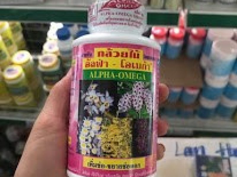 Alpha Omega Hồng (Kích Hoa Thái)